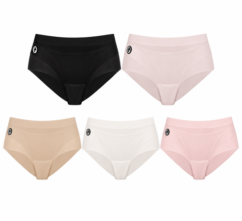 Women's Sheer Brief – Bundle
